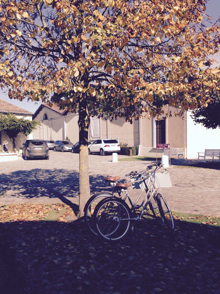 ChloeandWines's tweet photo. Autumn at @lynch_bages @Pauillac_Medoc @EtapeMedoc @ugcbnet #lavinal #bike #repairshop #indiansummer https://t.co/DhHyJJ7WKH