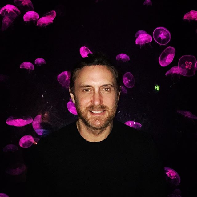Jelly fish looks sooo magical https://t.co/1jARp1mDjt