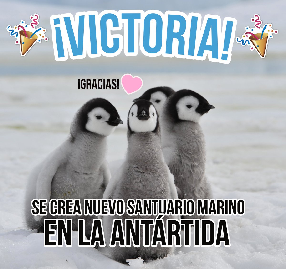 ¡RT! #FelizSabado ¡Hay gran victoria para los pingüinos, ballenas y todos los que luchamos por el planeta🐧💙Entérate👉grpcemx.org/victoriapingui…