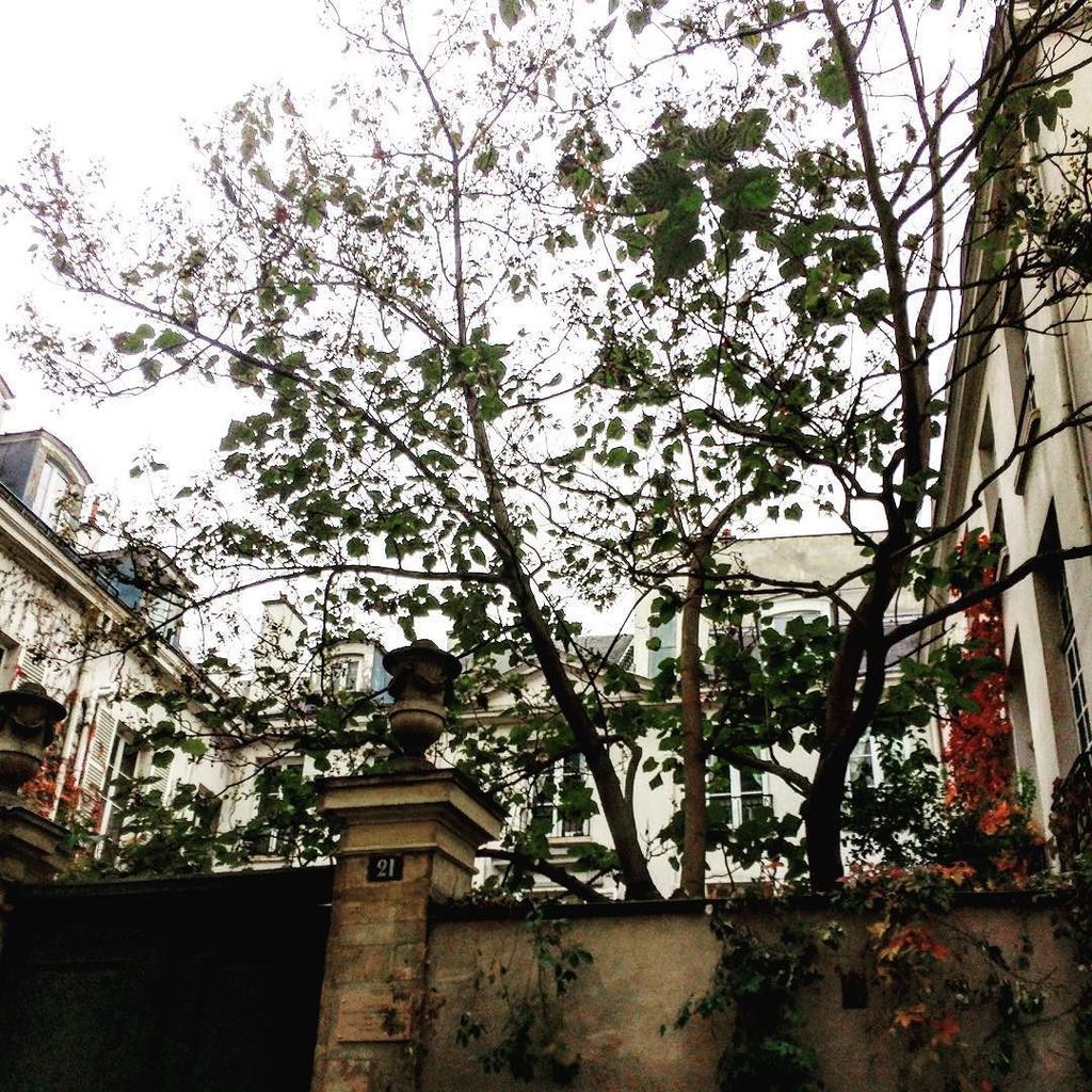 mmeouioui's tweet photo. l'hôtel Saint Germain des près.サンジェルマンデプレのお屋敷 #instapic #instamaison #instahotel #instapar… https://t.co/D3O9WECsrE https://t.co/ULGA0pTseM