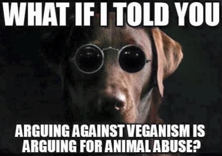 What if I told you arguing against veganism is arguing for animal abuse? #vegan