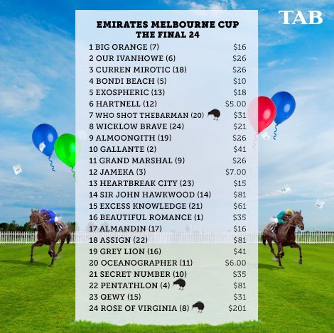 TracksideNZ's tweet photo. Retweet by 2pm and be in to win a FREE $50 Big Race Pack on your pick in Tuesday's #MelbourneCup Check out the field https://t.co/ojy5ki5Kjb https://t.co/3hnhIcamMg