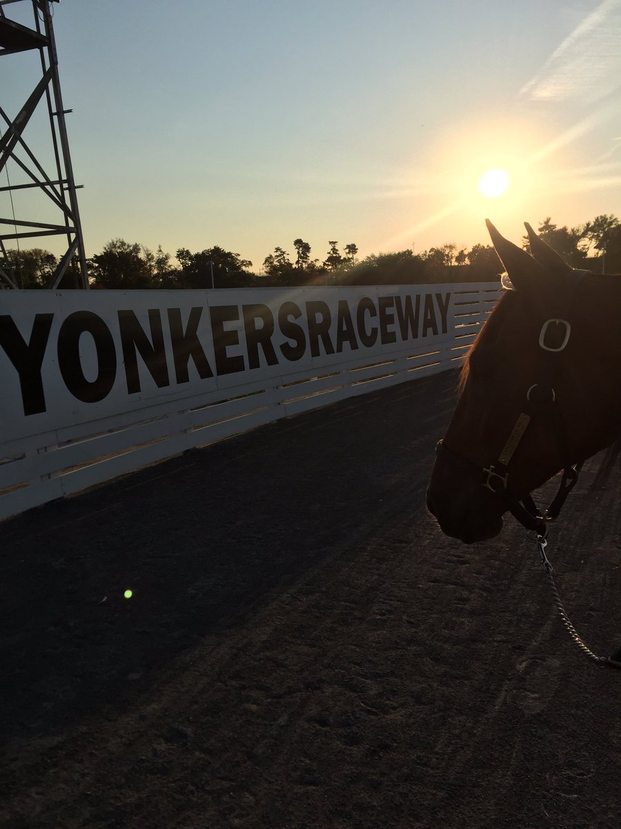 susanneoscarsso's tweet photo. Goodbye Yonkers😍😊#teamoscarsson #Yonkersraceway #internationaltrot #explosivedevie https://t.co/rTJ8LVTEbM