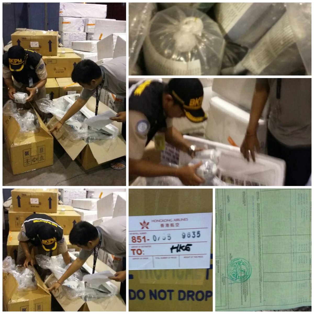 Pngwsan ekspor ikan hias dan coral ke China. Cargo Inter Ngurah Rai @HumasBkipm <a href="/rinajanwar2201/">Rina</a>