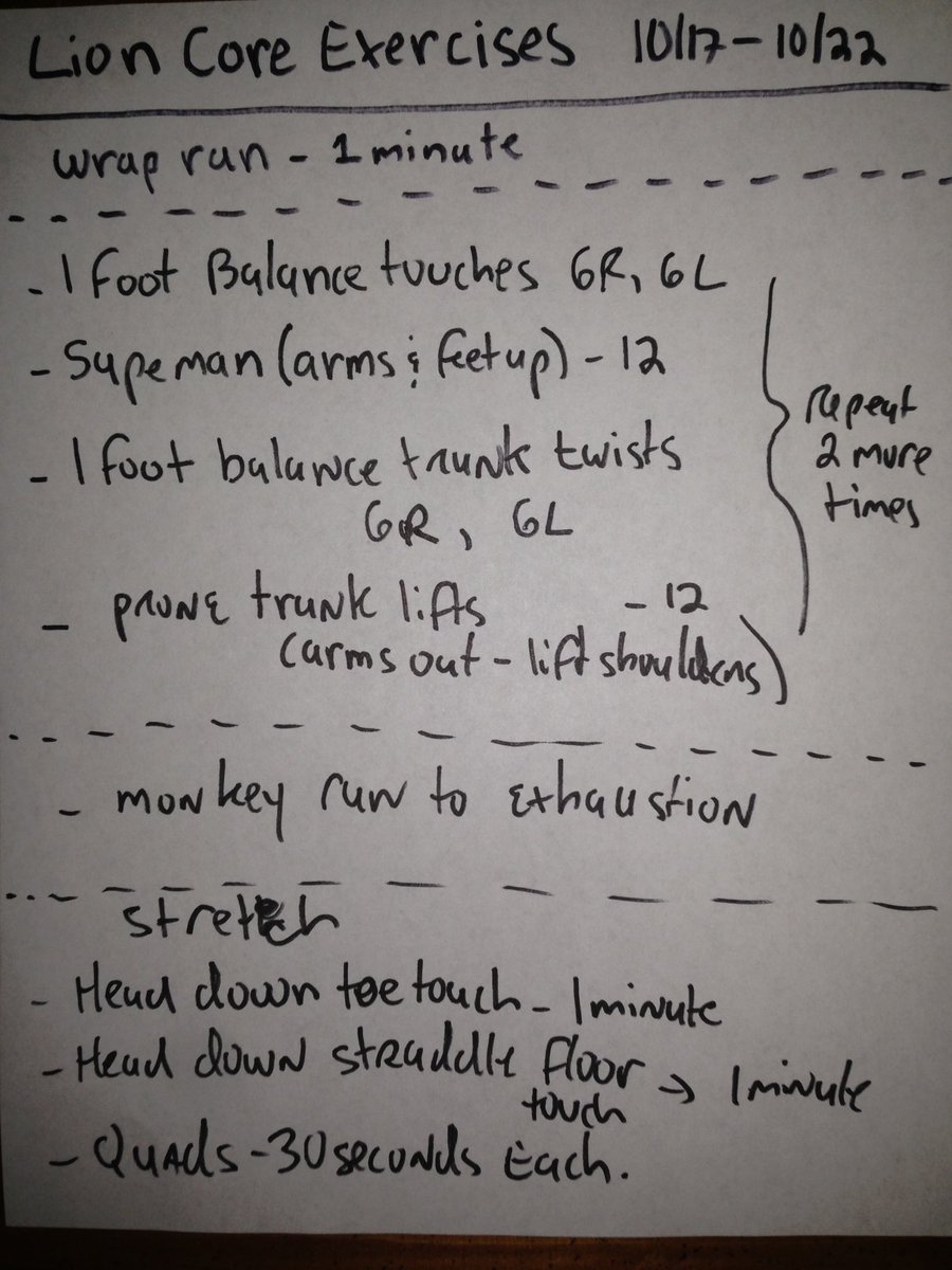 dugLiontrainer's tweet image. #strongtothecore