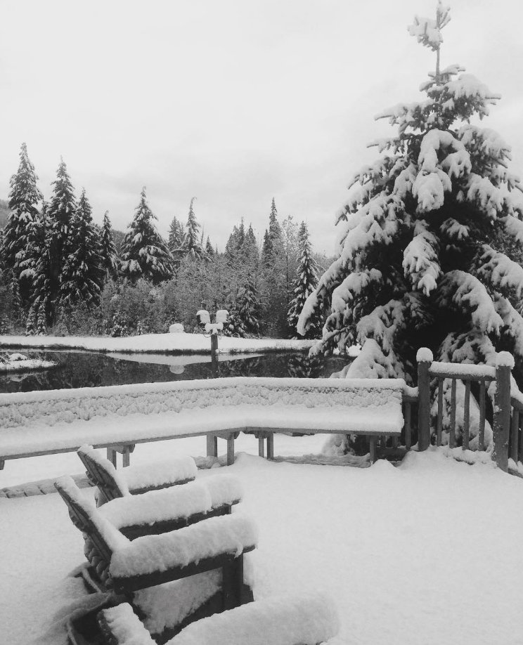 MtCultureGroup's tweet image. Guess what fell @cmh_heli Gothic lodge this weekend? Ohhh yeah. Getting stoked. #heliski #skiing #skibc #snowboarding #heliboarding #powder