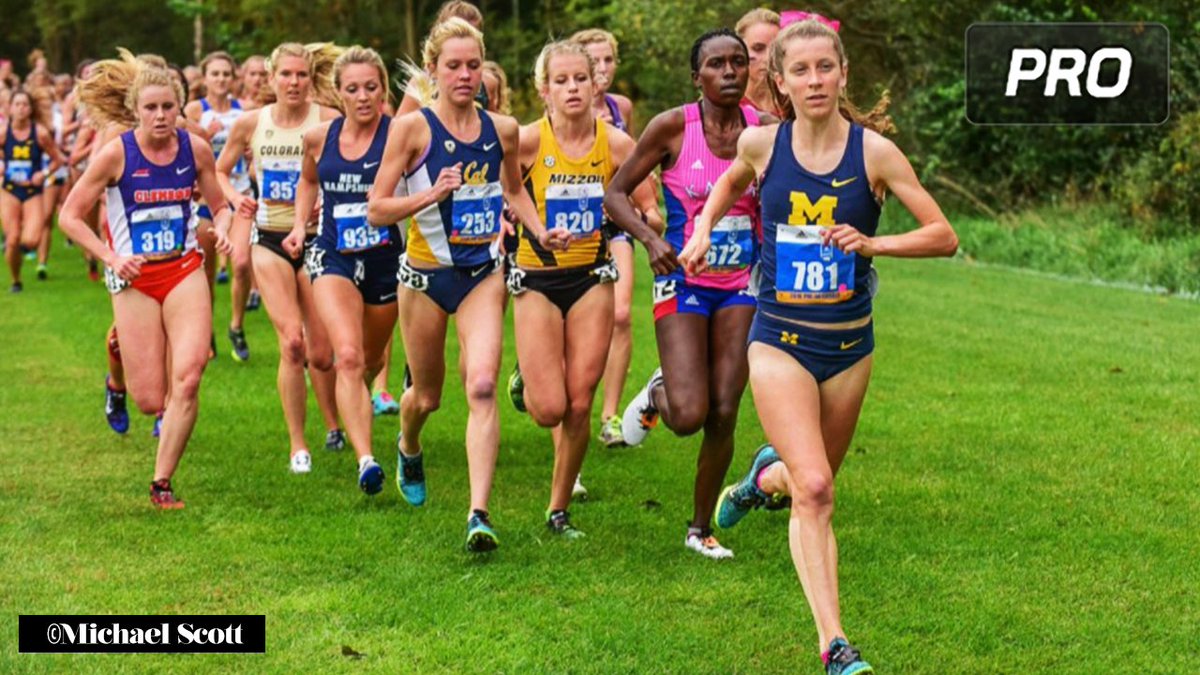 FloTrack's tweet photo. WATCH: Erin Finn throws the hammer down on the #PreNational field. -> https://t.co/OYMbQArisC https://t.co/c6M1F4Mj0T