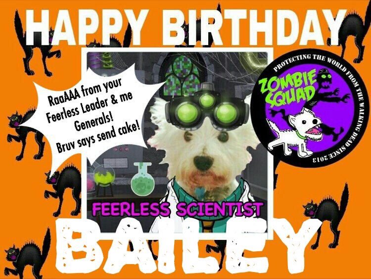 ZombieSquadHQ's tweet photo. Happy Happy 4th Birthday BAILEY! @BaileyandCooper That cake sounds very nommy 😉🎉🐾 #ZSHQ https://t.co/deoLflYP0Z