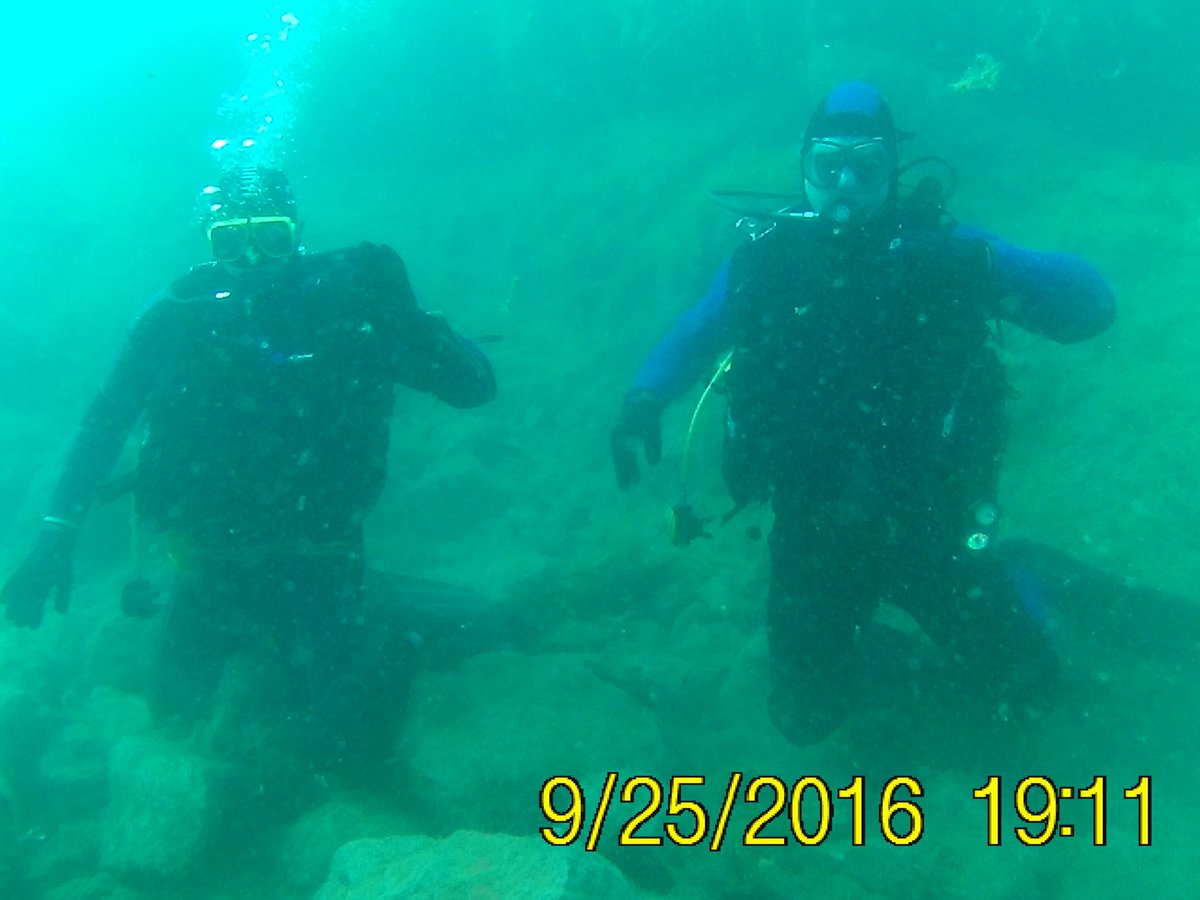 welshdiving's tweet photo. PADI Open Water courses in Newport, Cardiff and Bridgend. Contact Martin 07753691794 or email martin@welshdiving.co.uk for further details https://t.co/sxSLgKXR3v
