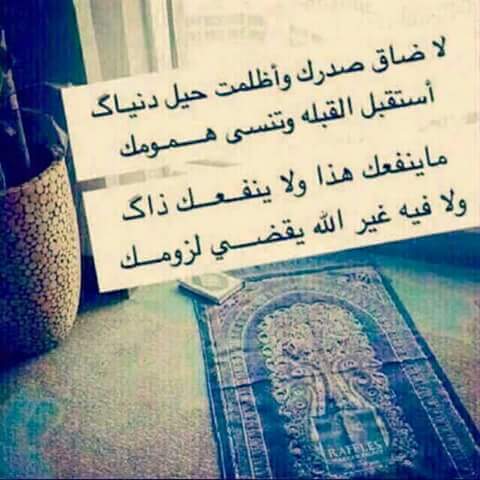 يسرى يسرى (@husseinmhmad55) on Twitter photo 