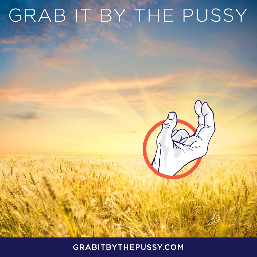 GIBTP2016's tweet photo. #grabitbythepussy #MotivationMonday #motivationalquotes #hope #change #yeswecan #GIBTP https://t.co/ByUSwyEdKL