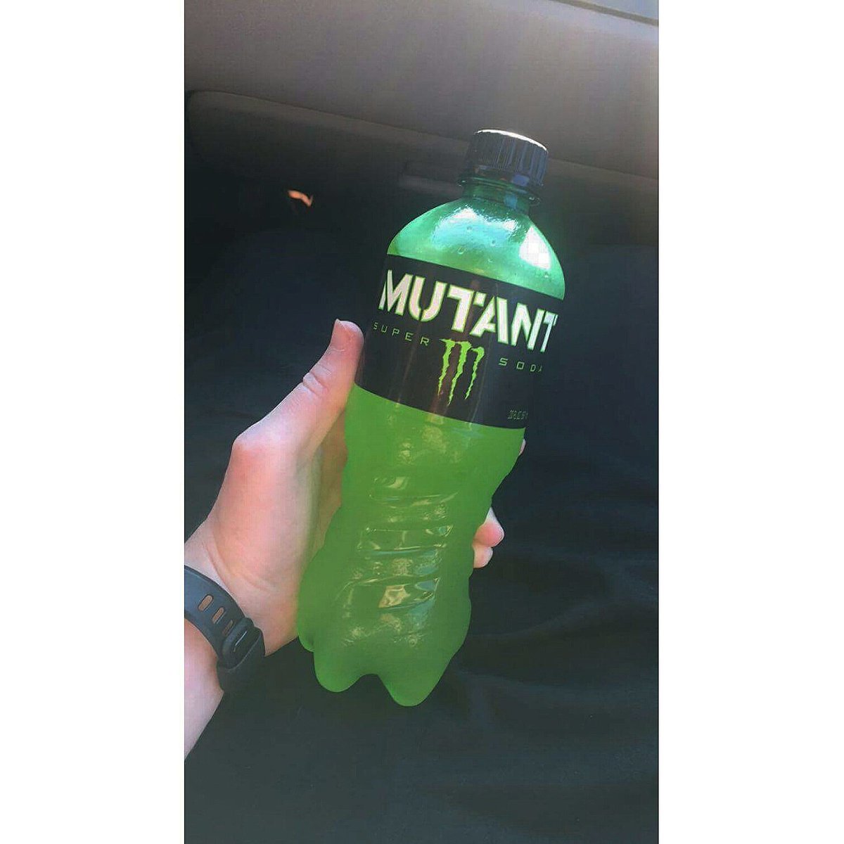 tweetmemichael's tweet photo. Let's start this new work week with a new #monstermutant
👍 https://t.co/1ociqN1FYd