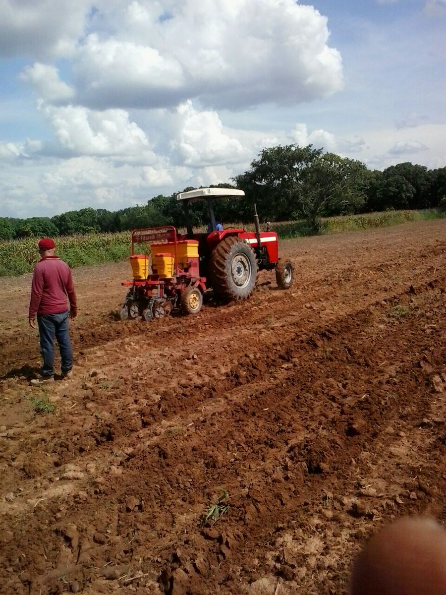 Sembrando 1/2 hectárea de frijol,  contribuyendo a la agricultura urbana <a href="/salainass/">INASS</a> <a href="/magallyvina/">Magaly Gutiérrez</a> <a href="/Inass_GeroAldea/">Gerogranjas - Aldeas</a>