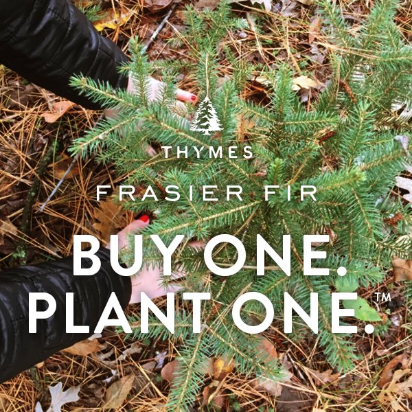 Let Frasier Fir be more than just your favorite home fragrance. Introducing Buy One. Plant One. <a href="/woodchuckusa/">WOODCHUCK</a> thymes.com/BOPO/