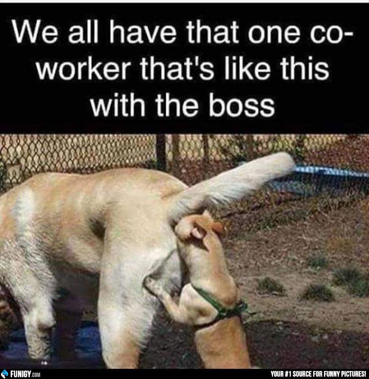 Justinbrad32's tweet photo. Everyone works with this person..😂 https://t.co/WO75NFUJwv