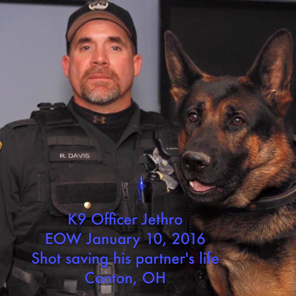 DQ_GSD's tweet photo. #TBL๐#Brave #K9s both #Dead 1 brave #LEO 1 #POS Glad more #LEO like #OfficerDavis than #Peabodyโก https://t.co/lgWaIK85Nm ๐จ@CantonOhioPD https://t.co/FjGG0bYjBv