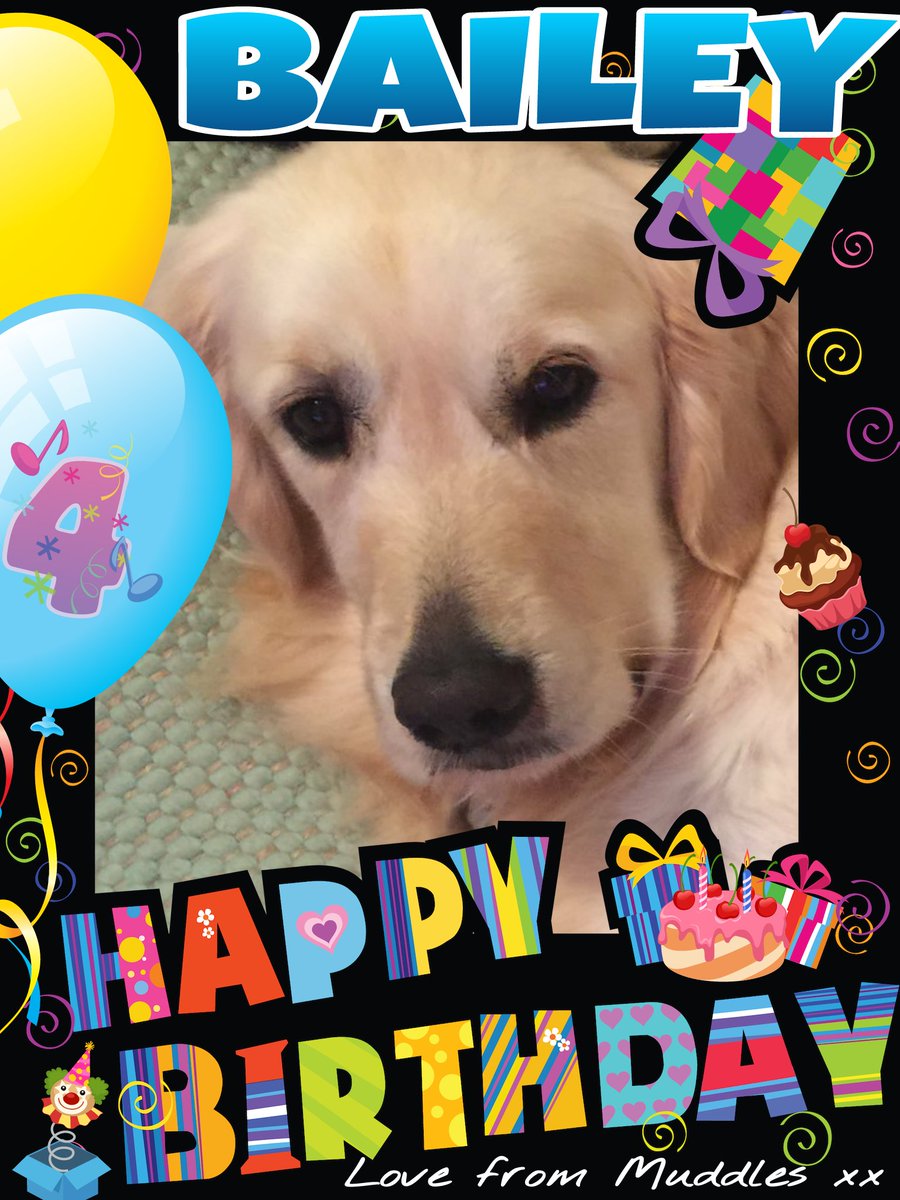 MuddlesDog's tweet photo. 🎵Happy Birthday, dear BAILEY
Happy Birthday to youz! 🎵
Have a pawtastic day filled with lots of treats, pal.🐶💕💜 🎂🎁🎈🎁🎉
@BaileyandCooper #ZSHQ https://t.co/lHBVwBBDfV