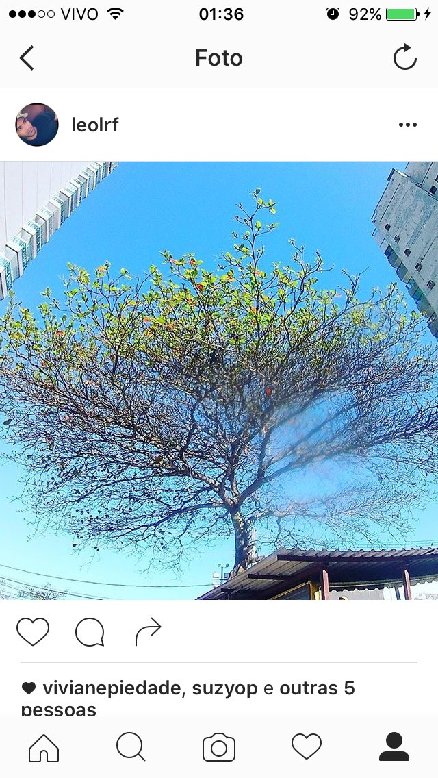 LEOLRF's tweet image. 