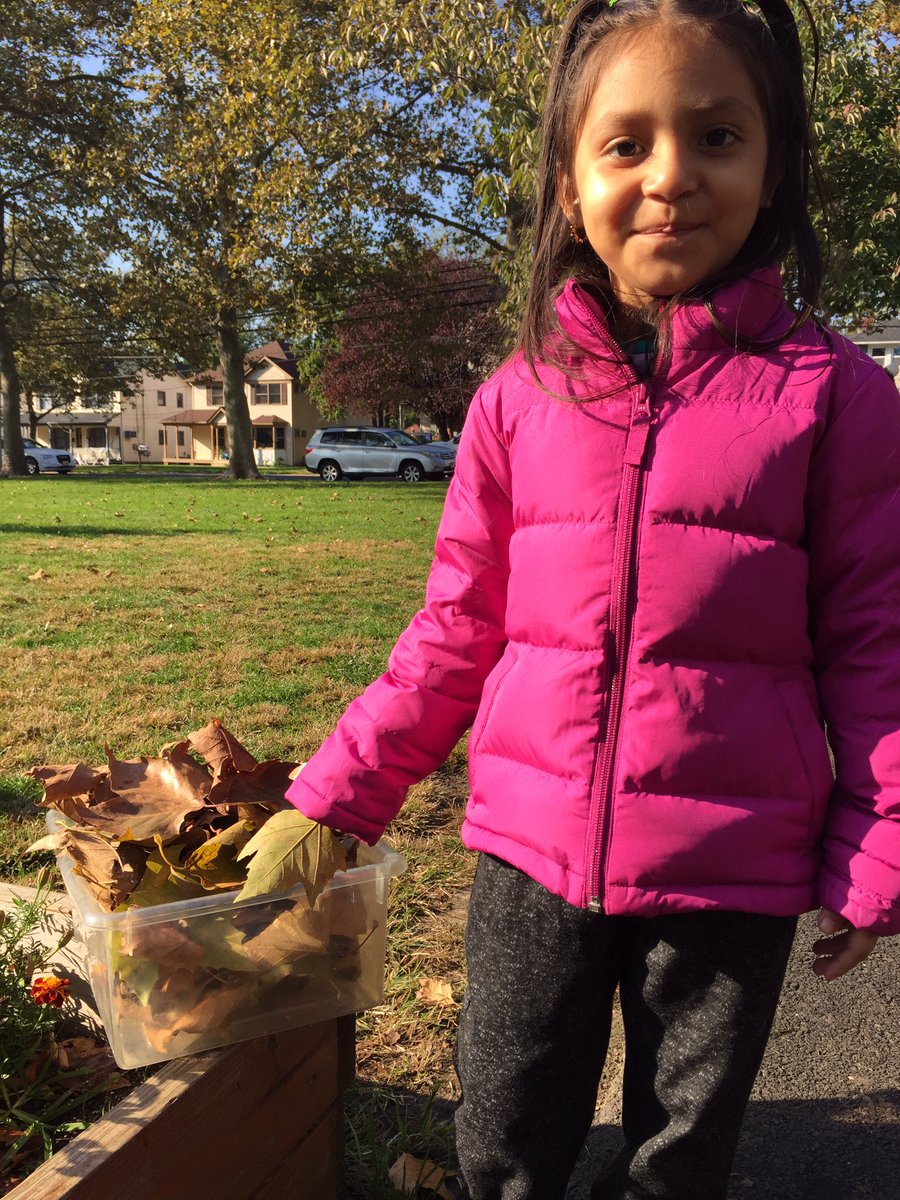 mrs_guccione's tweet image. My littles went on a leaf hunt today and took photos of the changes that occur in Fall. What a beautiful day! #handsonlearning #fallbliss