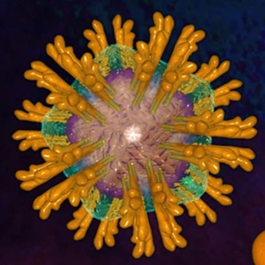 Microbiology_LR's tweet photo. Creating an #Anti-viral Response from Cells' Own #Metabolism https://t.co/xAgn6ftiyW
Block replication by denying critical building blocks https://t.co/myVI4XIQAD