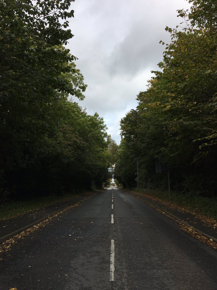 ghochstetler's tweet photo. The quiet little country roads of Ireland #pcgfot #for2016 https://t.co/dzleOAeAcg