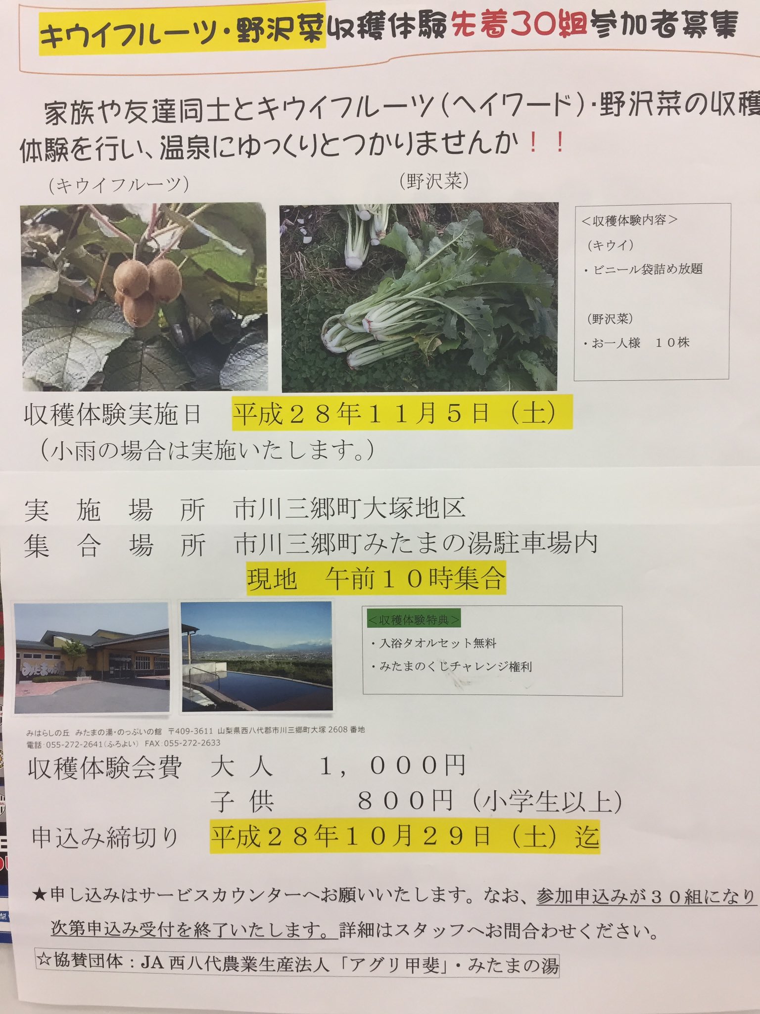 農産物直売所たべるじゃんやまなし おはようございます 山梨県産のキウイが登場しました イエロー系と 大人気レインボーレッドが並んでいます グリーン系は まだ これからです 追熟させてから お召し上がりくださいね 収穫体験の参加者募集も