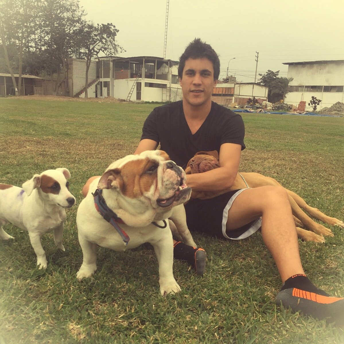 ricardoriflo's tweet photo. Con mis engreídos, Luna, Spike y Aquiles. Los extraño y pronto estaré con ustedes. 🐶🐶🐶 #R1FLO #englishbulldog #jackrussell #dogoburdeos https://t.co/4QXHuTXPfH