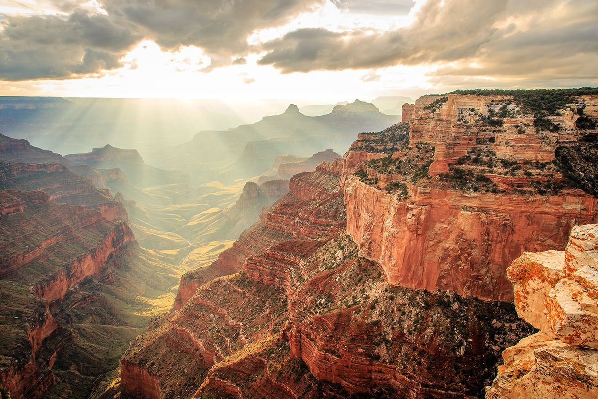 Interior's tweet photo. For serenity &amp; spectacular views, you can’t beat the North Rim @GrandCanyonNPS by Yan Li #Arizona https://t.co/kEY1HW6ROw