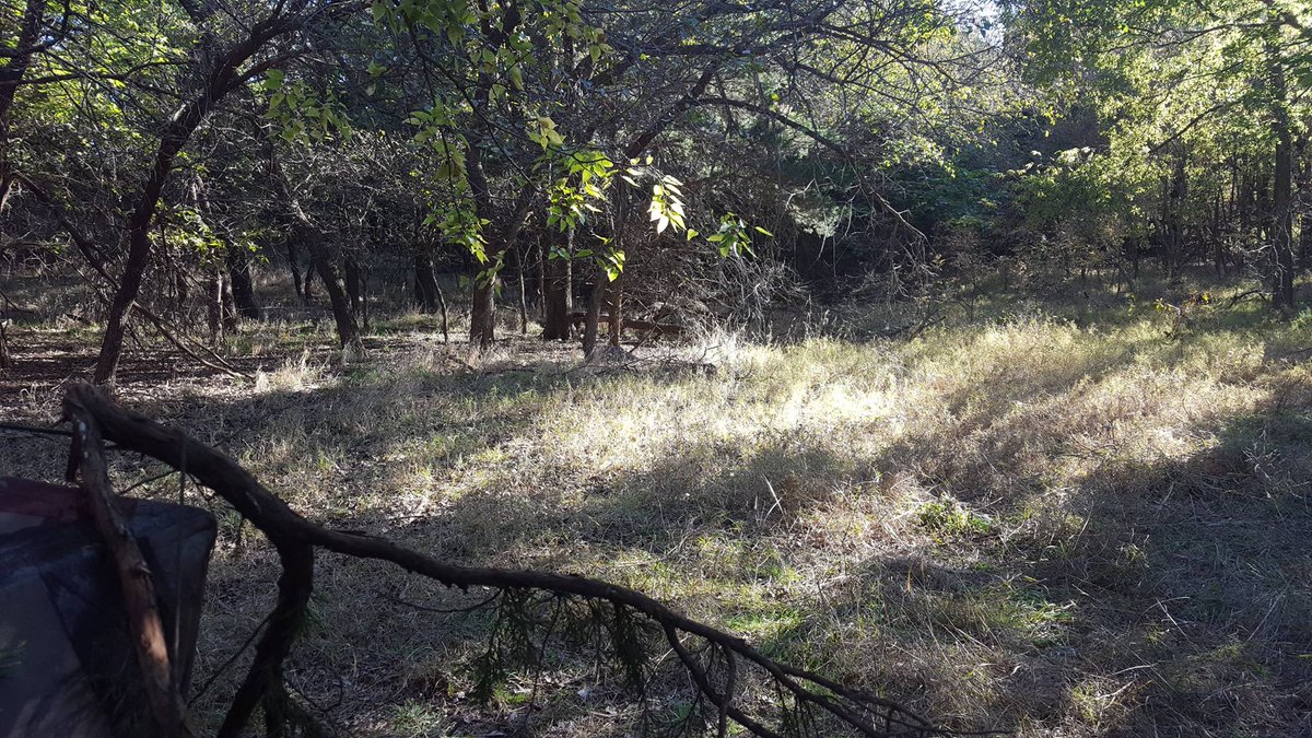 deptydog's tweet photo. The new blind....looking forward to meeting up with Mr. Buck. https://t.co/GPTlD1pZLL