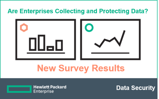 cindycullen9's tweet photo. How are Enterprises Protecting Sensitive #Data? See survey results in @hpe_voltage's blog: https://t.co/HO0K6ZMDeU https://t.co/t9YoYqROtl