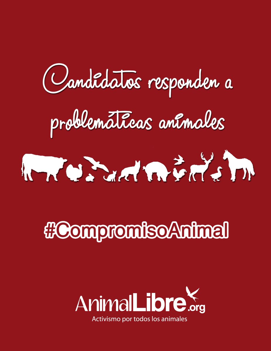 Animal_Libre's tweet photo. #Eleccionesmunicipales2016: ¿Prohibirían la Tracción Animal en sus ciudades? Averígualo acá: https://t.co/0axEtzWFHV #CompromisoAnimal https://t.co/cxczH9BLmm