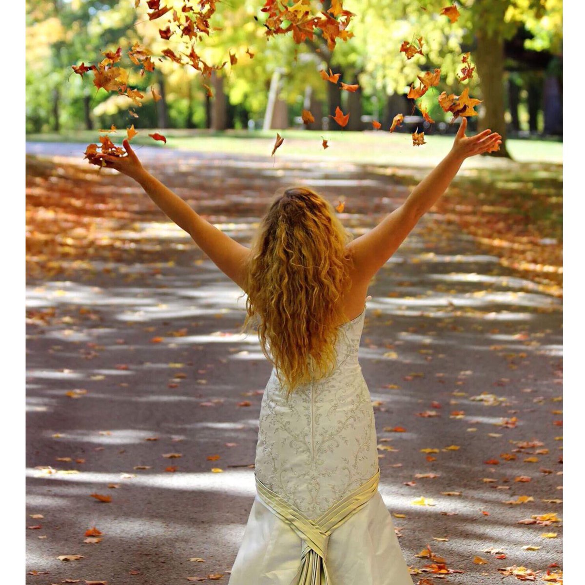 babygurl45455's tweet photo. Beautiful pictures from my bridal fall shoot 💕👰🏼✨ felt so beautiful this day ! #modeling #peterboroughmodeling #fallshoots #brides #blondie https://t.co/6aB1bzFAMj