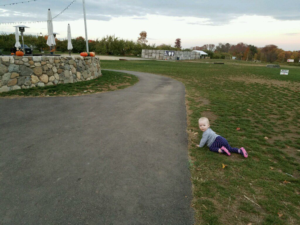 orchardcrosscx's tweet photo. Ivy says "if I was a beer tent, I would go over there". #courserecon @ApplecrestFarm @jenxmurphy @guscyclocross https://t.co/crIGl5B9Bm