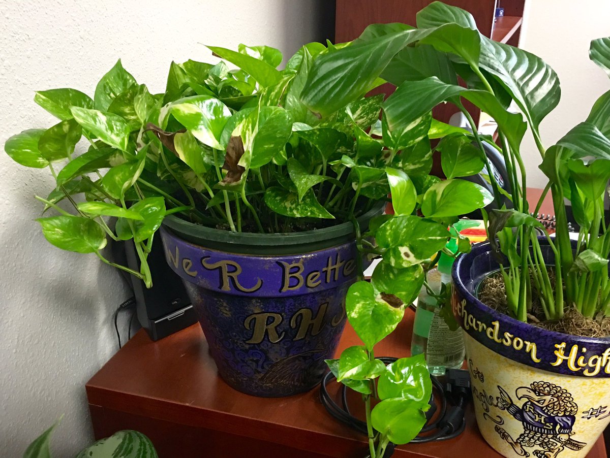 Symbolic of R new growth <a href="/RichardsonHS1/">Richardson HS</a> b/c "We R Better Together"! #risdgreatness