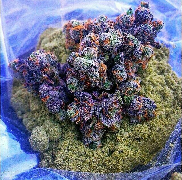 tedsmarijuana's tweet photo. Is marijuana addictive? Yes, in the sense that most of the really pleasant things in life are worth endlessly repeating. https://t.co/co3s0frKyN