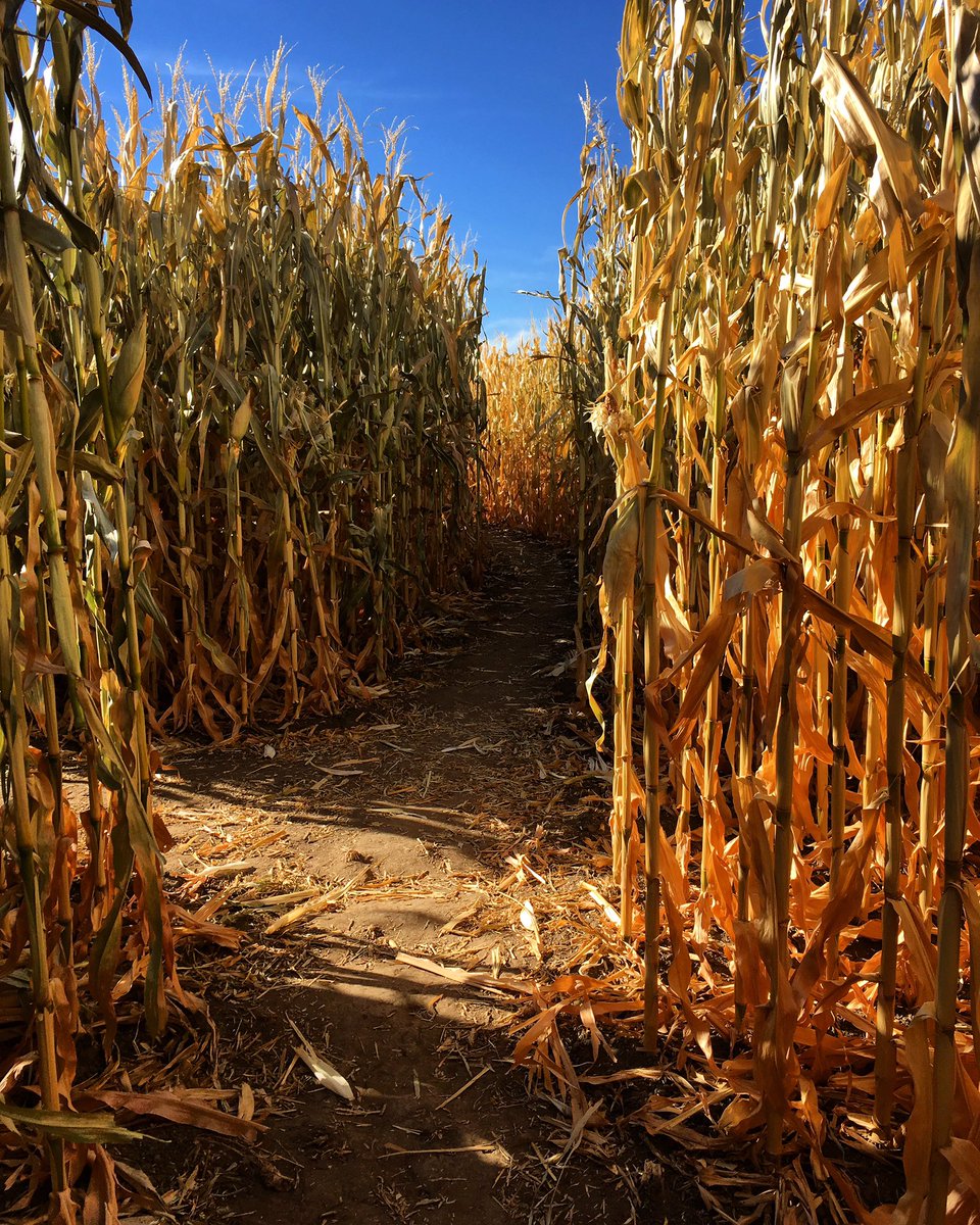 Kellene Stockwell tweet media