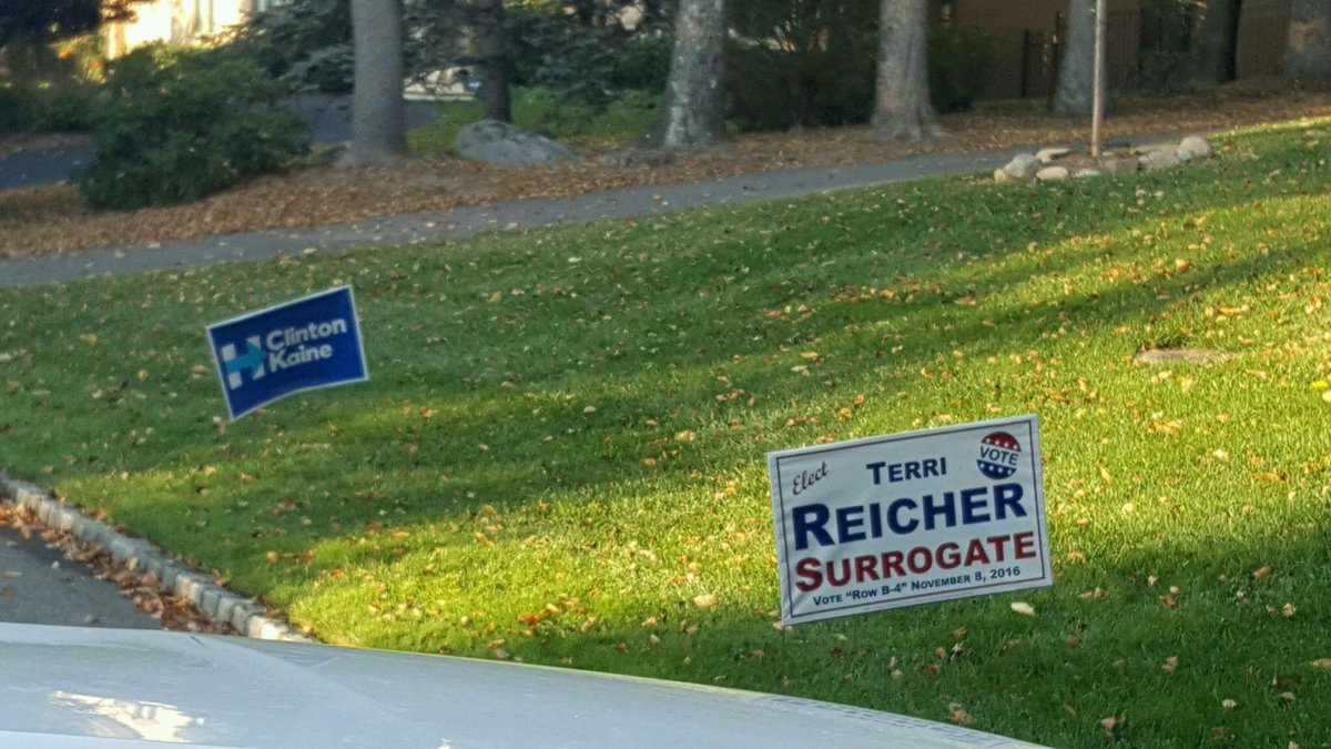Interns4Reicher's tweet photo. That's why declared Democrats, Republicans and Independents are voting TERRI REICHER FOR PASSAIC COUNTY SURROGATE Nov. 8th #GetOutAndVote https://t.co/rHeuWe95zK