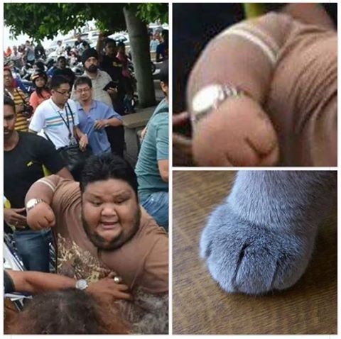 EseMajeEngasado's tweet photo. Si ese gordito te pega un pijazo se ha de sentir suavecito. https://t.co/eJklHTCT8i