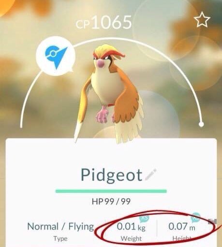 ELINTERNET_'s tweet photo. Lógica pokemon https://t.co/INhel7IHlm