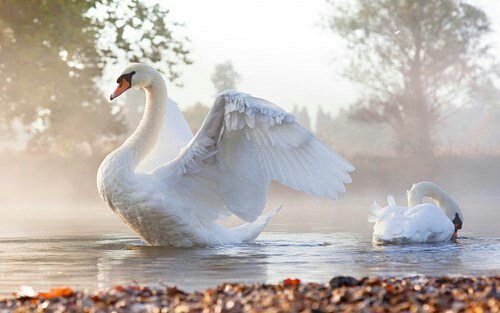 kentkristensen1 tweet picture