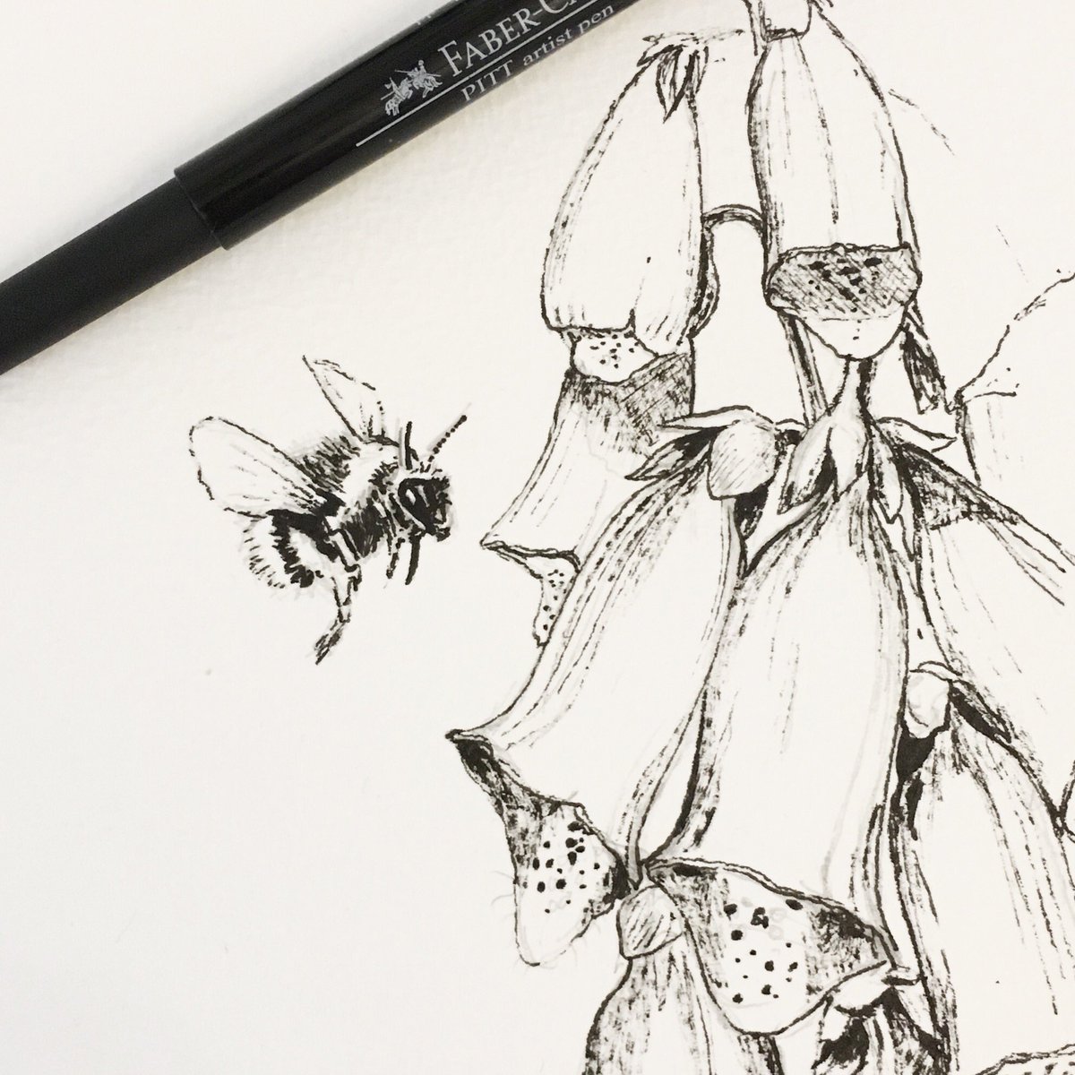 TCrumpetDesigns's tweet image. Working on a few bee &amp;amp; dog commissions this week - love painting these fuzzy fellas 🐝🌿#initialsketch #commission