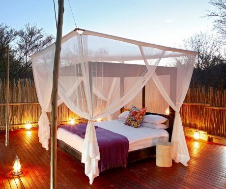 InAfricaNBeyond's tweet photo. Happy #TravelTuesday - Here are 5 amazing experiences in the South African wild #MeetSouthAfrica https://t.co/tdwA0f6mgA #travel #safari https://t.co/CdclHBIqN9