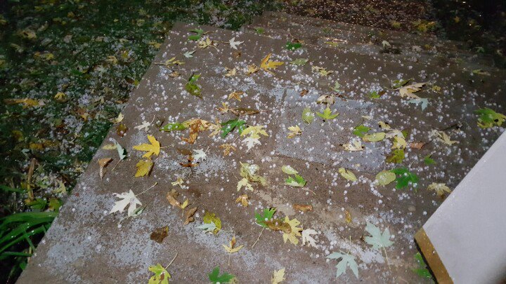 Janmandy's tweet image. Brooklyn Park, MN at 9:00PM