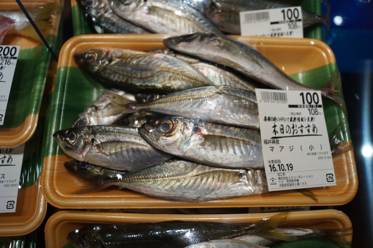 くら天然魚市場 本日10 18の天然魚 は まあじ 100円 うすばはぎ 00円 へだい 500円 いとよりだい 600円 全て税抜価格となります くら天然魚市場 本日10 18の天然魚 は まあじ 100円 うすばはぎ 00円 へだい 500円 いとよりだい 600円 全て税抜価格となります