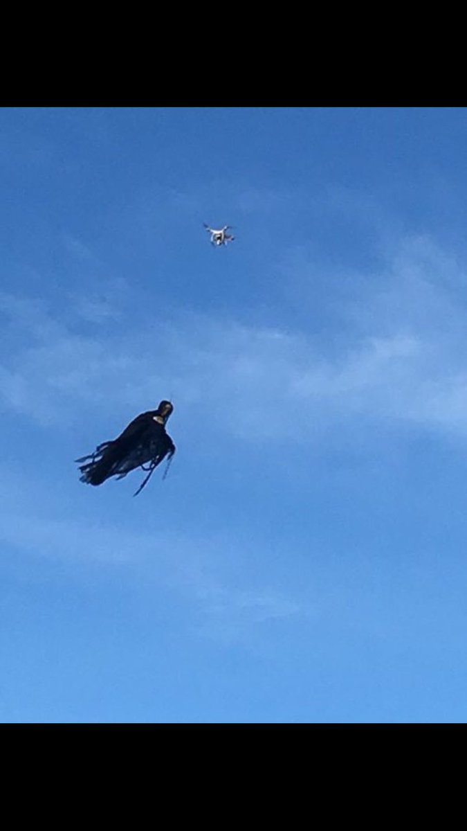 relatable__yo's tweet image. Kms ☠️😂