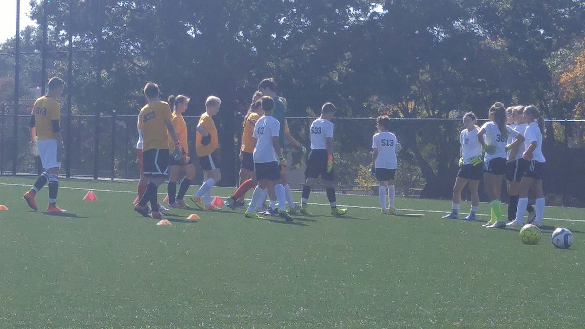 danmrktrnr's tweet photo. @KSYouthSoccerAs lots of young talent minding our nets #keeperstrong https://t.co/0dDuKyavlB