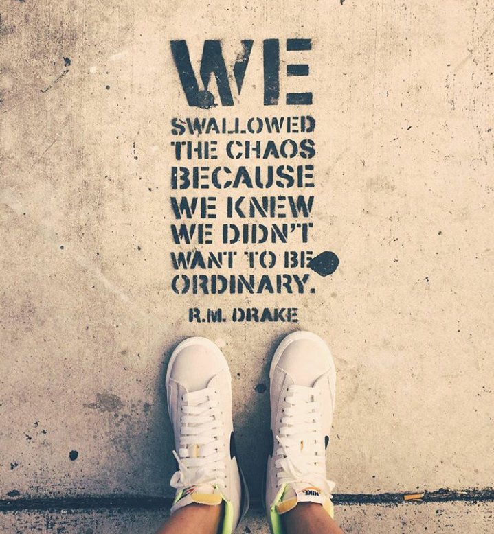 nikhat_zareen's tweet photo. Because normal is boring🤗 
#rmdrake #rmdrakequotes https://t.co/KaE8WQzpAW