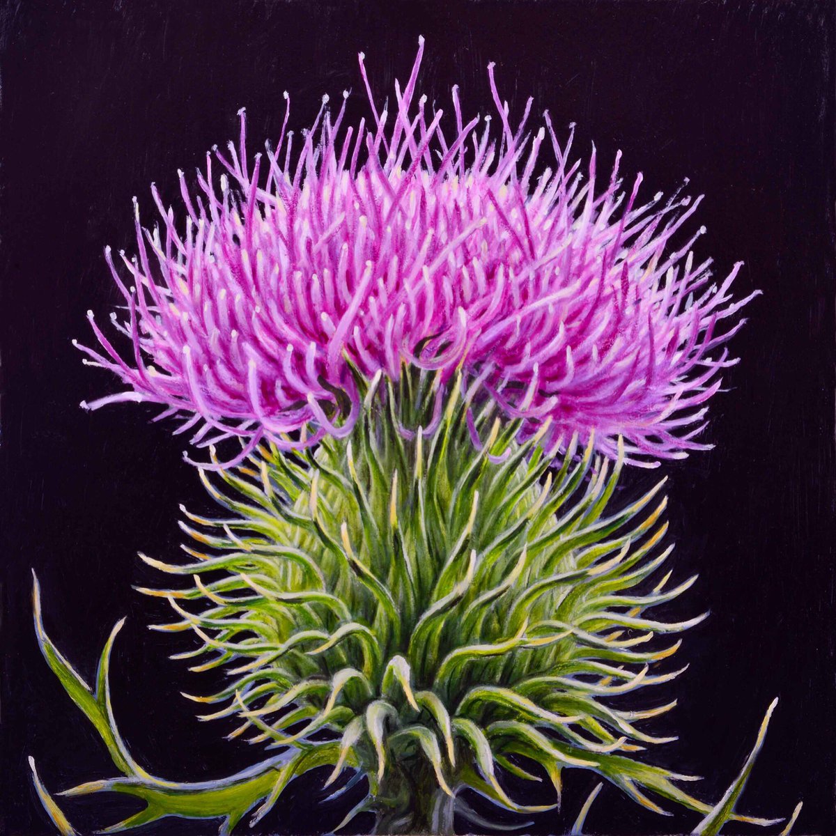 HellionGallery's tweet photo. "Bull Thistle" @ericwert #Helliongallery @giganticbrewing https://t.co/5aSXBkN8dk #ericwert #thistle #oilpainting https://t.co/eCv0oGXjNN