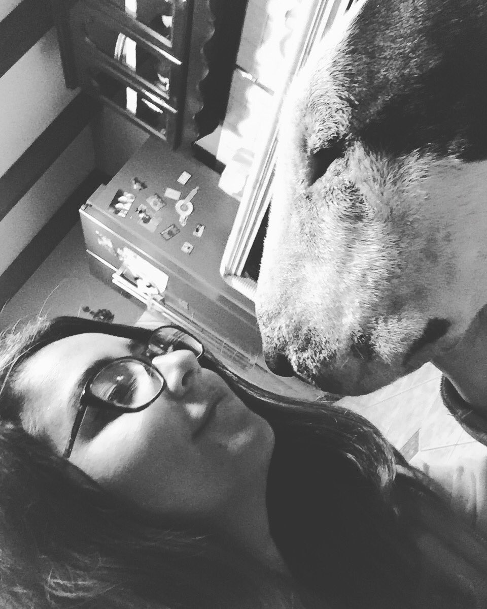 Veriluci's tweet photo. El amor verdadero #bullterrier #bullterrierperu #doglover https://t.co/4Gfju32ZsC