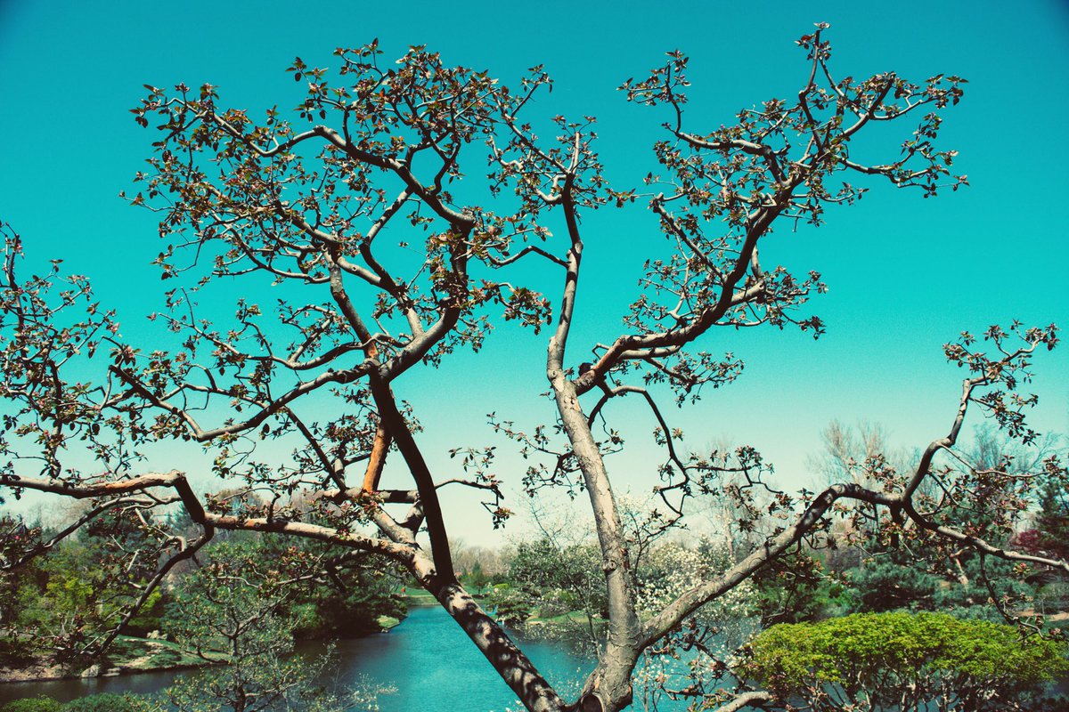 Jacoboyd's tweet image. The best time to plant a tree is 20 years ago. The second best time is now.